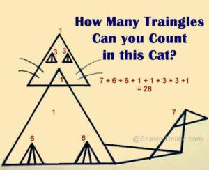 How many Triangles can you see in this Cat? | BhaviniOnline.com
