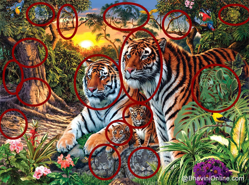 Picture Riddle: Count The Number Of Tigers | BhaviniOnline.com