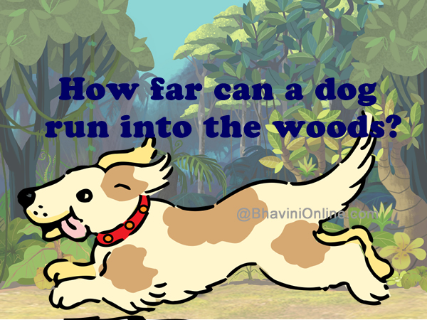 How far can a dog run into the woods
