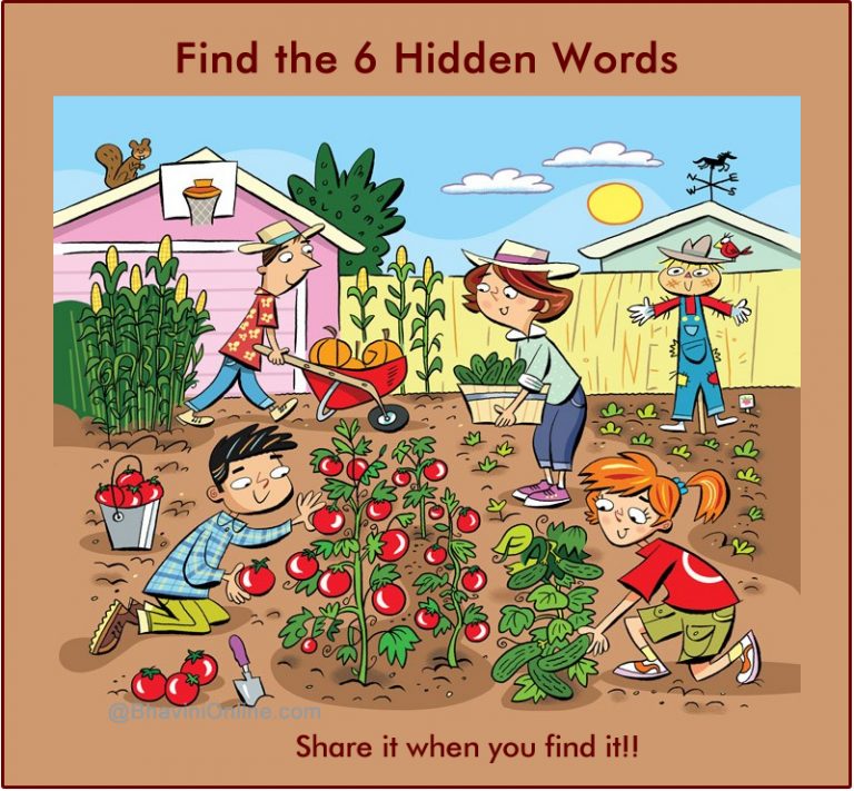 WhatsApp Riddle: Find 6 Words Hidden in the Picture 3 | BhaviniOnline.com