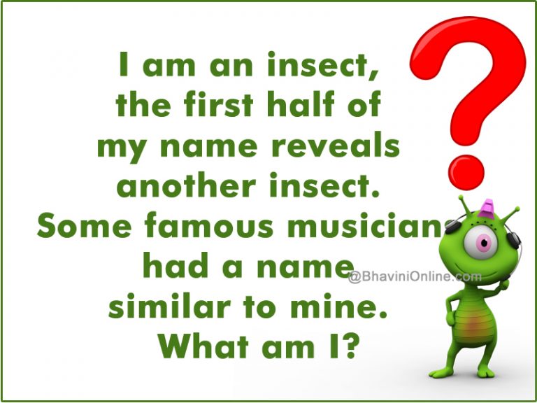 Insect Riddle