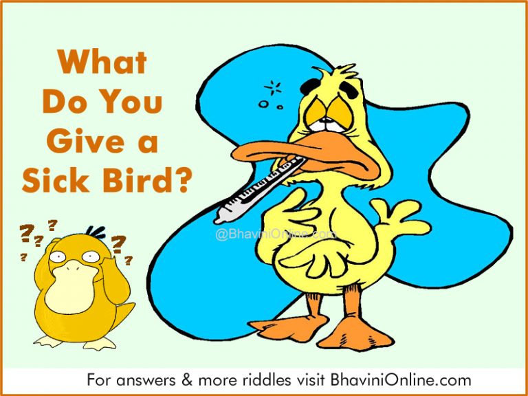 Riddle For Kids What Do You Give A Sick Bird BhaviniOnline