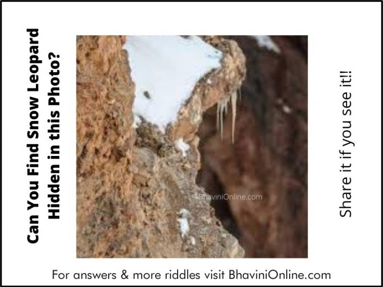 Picture Riddle: Can You Find the Snow Leopard Hidden in this Photo ...